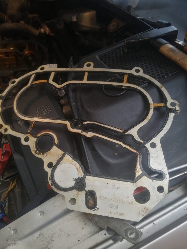 Seal_IMG_20250805_132502